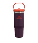 Stanley IceFlow Flip Straw Tumbler