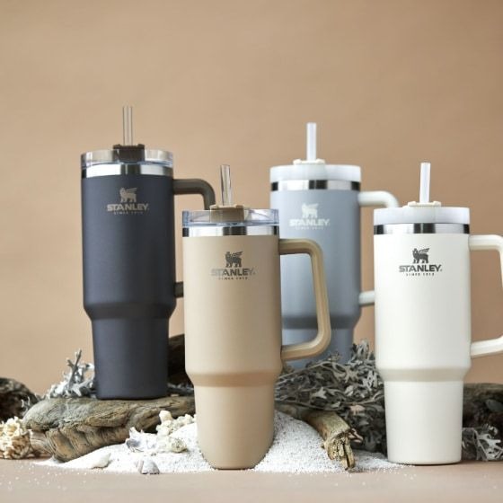 ORIGINAL stanley ONLİNE shopping