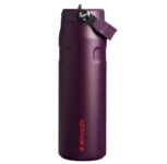 stanley the iceflow 30 oz classic flip straw tumbler
